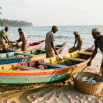 Des pirogues artisanales colorées sur une plage d’Afrique de l’Ouest, tandis que des pêcheurs déchargent de petits poissons dans des paniers.